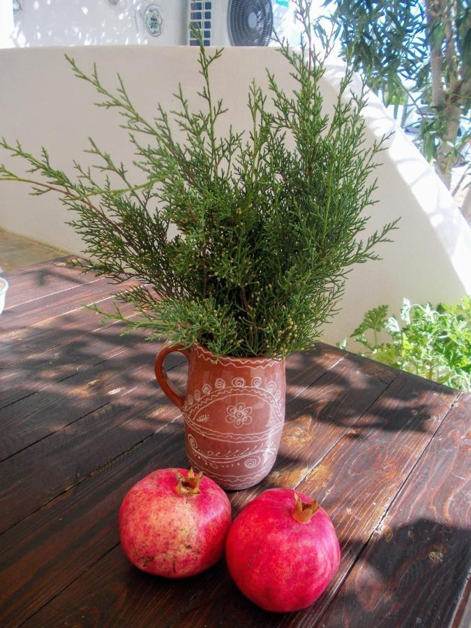 Nyfes Traditional Boutique Frosyni Skyros Buitenkant foto