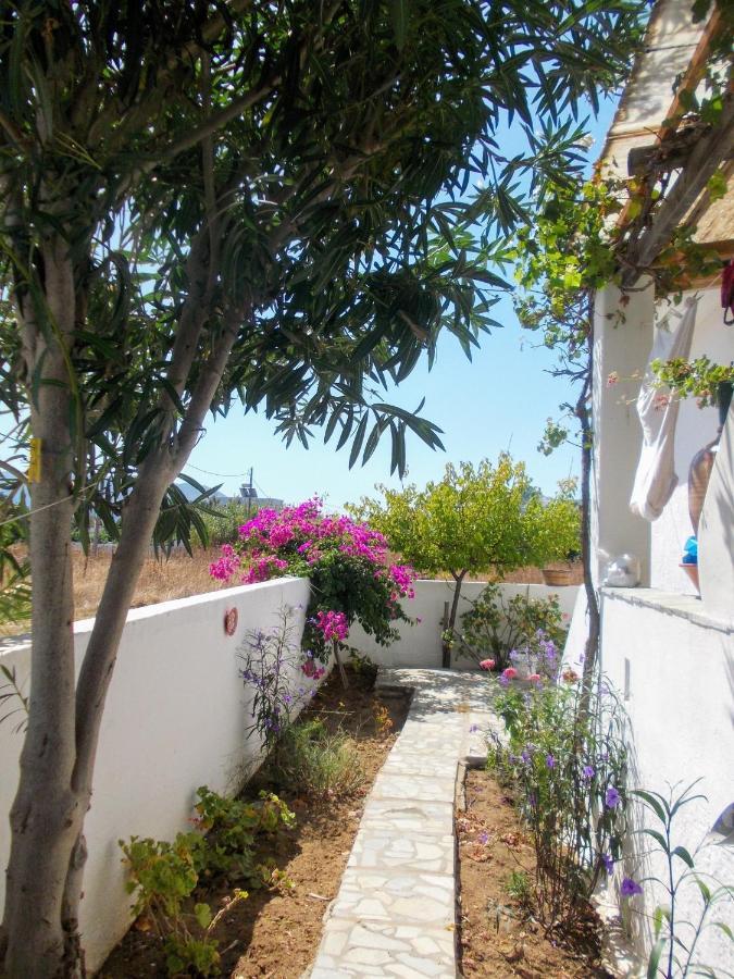 Nyfes Traditional Boutique Frosyni Skyros Buitenkant foto