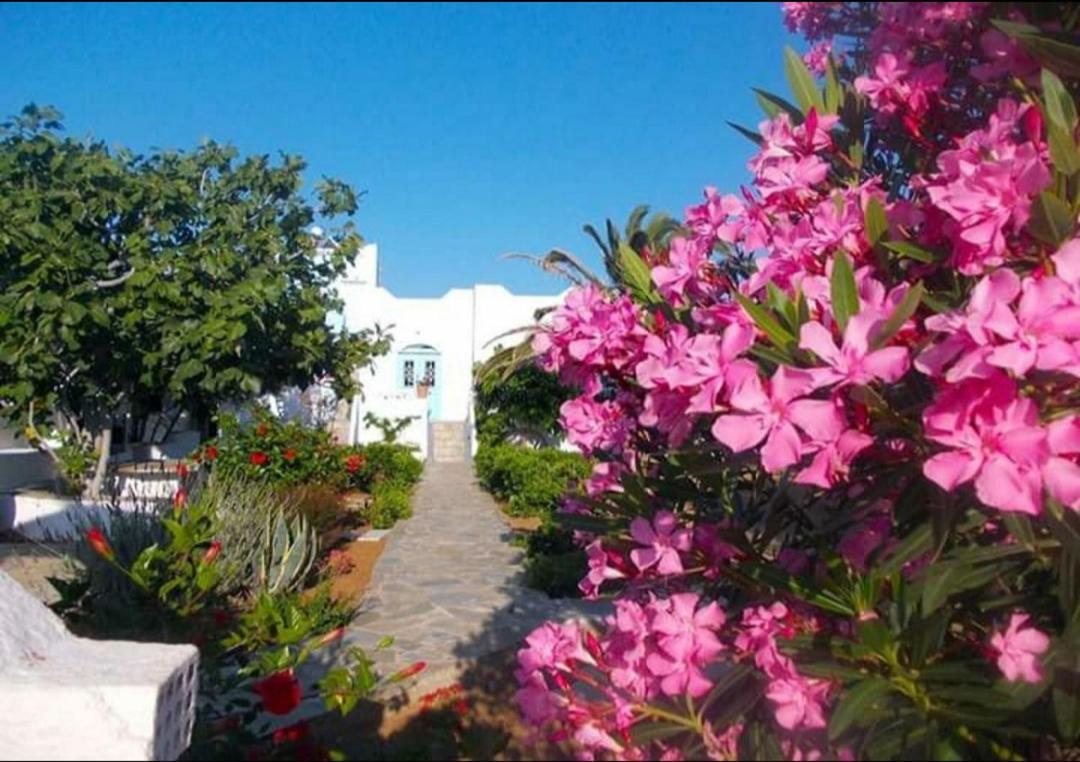 Nyfes Traditional Boutique Frosyni Skyros Buitenkant foto