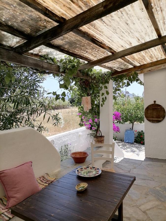 Nyfes Traditional Boutique Frosyni Skyros Buitenkant foto